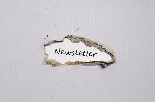 The word newsletter appearing behind torn paper