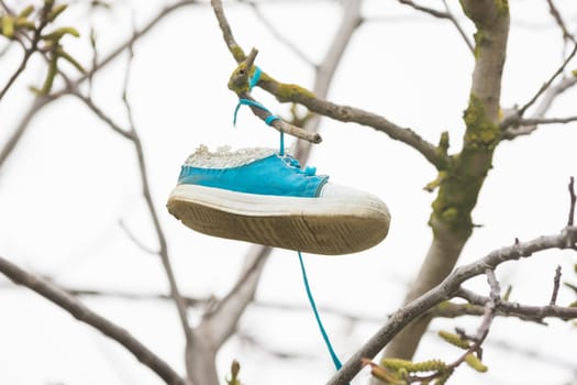 On the branch of a tree hung a shoe