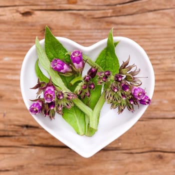 Homeopathy and cooking with medicinal herbs,comfrey