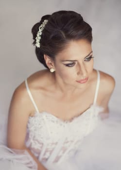 Portrait of Beautiful Bride in Wedding Dress and Decoration.