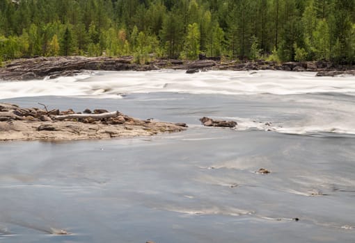 River with Forest and Driftwood.