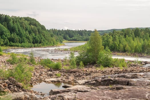 River with Forest and Cloudy Sky.