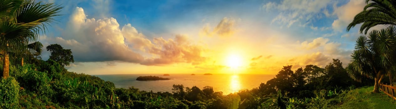 Panorama of a gorgeous colorful sunset at the sea,framed by silhouettes of the coast vegetation