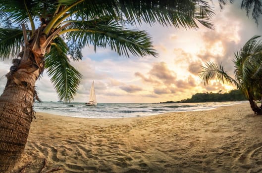 Tropical beach paradise at sunset,with warm-colored sand,palm trees,beautiful clouds and a sailing boat