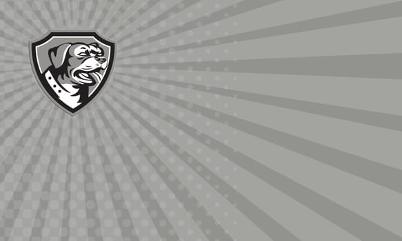 Business card showing Black and white illustration of a Rottweiler Metzgerhund mastiff-dog guard dog head looking to the side set inside crest done in retro style.