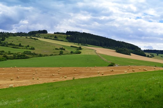 Grain harvest in the Rhön