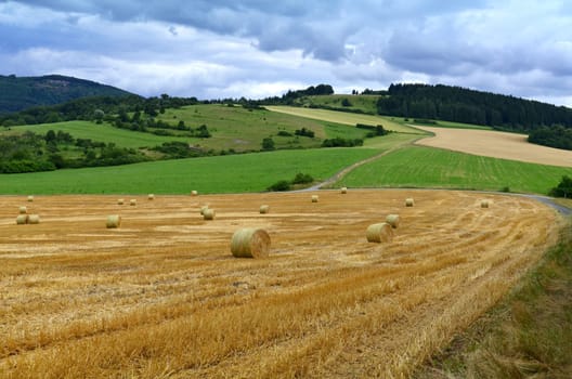 Grain harvest in the Rhön