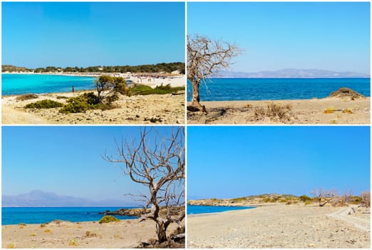 Photo collage with images of Chrissi Island, near Crete, Greece. It hosts the largest naturally formed Lebanon cedar forest in Europe.