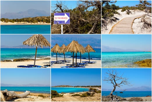 Photo collage with images of Chrissi Island, near Crete, Greece. It hosts the largest naturally formed Lebanon cedar forest in Europe.