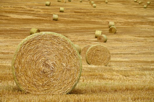 Straw bales