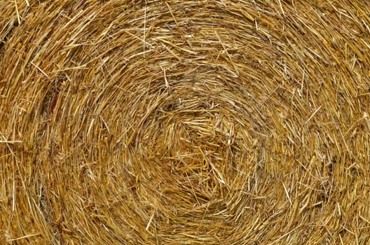 Straw bales