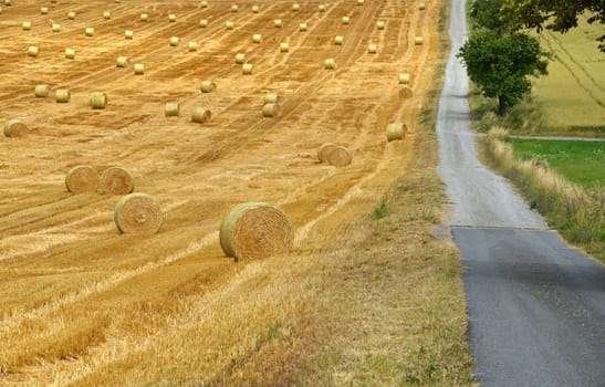 Straw bales