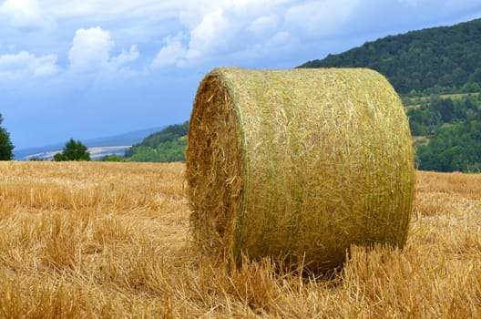 Straw bales