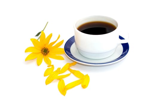 still life cup of coffee and yellow flower, isolate, subject seasons spring, drinks and flowers