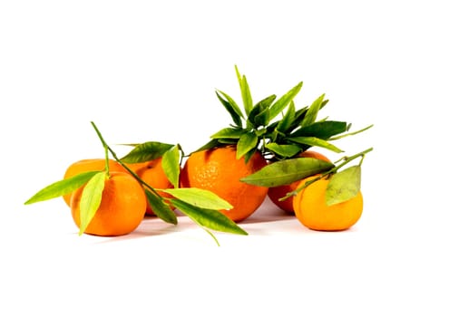 still life, tangerines with leaves, isolate, a subject seasons, fruit, winter