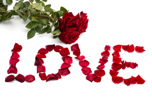 bouquet of roses and inscription love from petals, a subject flowers and holidays