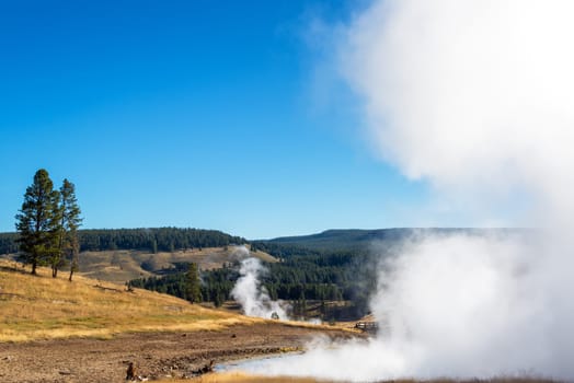 View of the Black Dragons Cauldron in Yellowstone National Park at the Mud Volcano Area