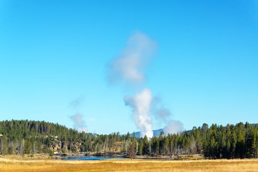 Landscape view of the Mud Volcano Area in Yellowstone National Park