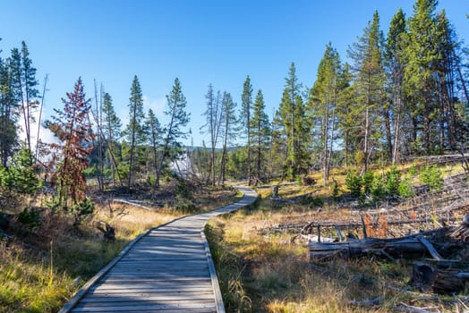 Boardwalk in the Mud Volcano Area in Yellowstone National Park