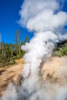 Steam rising from Dragons Mouth Spring at the Mud Volcano Area in Yellowstone National Park