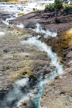 Steam rising from the earth in the Mud Volcano Area in Yellowstone National Park