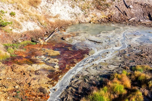 Colorful bacteria mat in the Mud Volcano Area at Yellowstone National Park