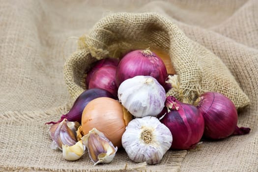 Fresh garlic and onion in package