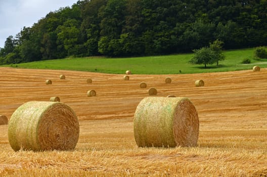 Straw bales