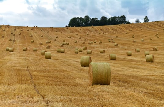 Straw bales