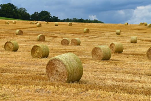 Straw bales