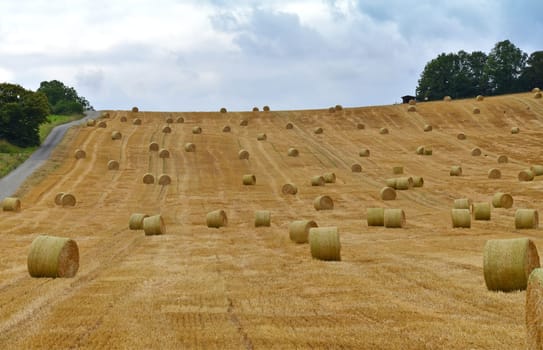 Straw bales