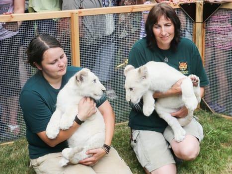 Name baptism of white lion babies in the Magdeburg Zoo on July 26,2016