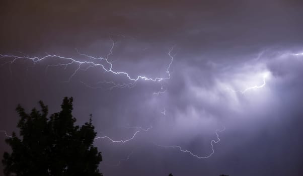 Electrical energy fills the skies in a spectacular display of nature's power