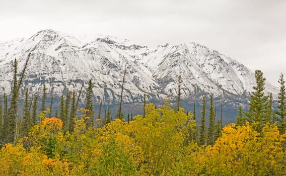 Fall Colors with Snow on the Mountains along the Alaska Highway in the Yukon Territory of Canada