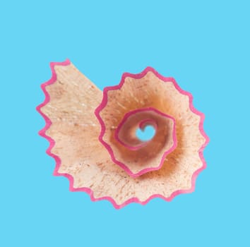 Pink pencil shaving with spiral shape isolated with shallow depth of field