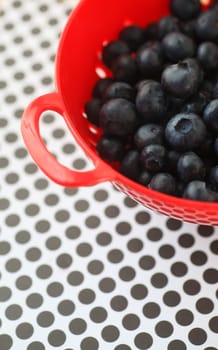 Fresh blueberries in a red colander on black and white polka dots