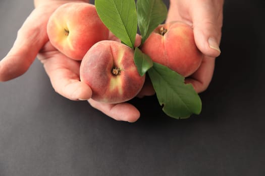 A man holds three ripe peaches with leaves and space for copy