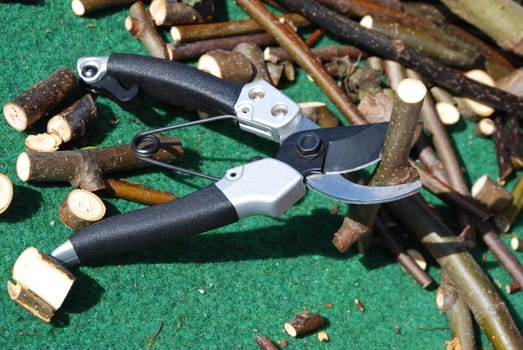 House and garden Gardening Pruner Scissors Branches Branches Branches Branch Branch Tree Secateurs Garden Tools Gardening Garden Care Garden Hobby