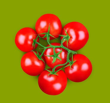A bunch of tomatoes with green stem on green background. Square, top view