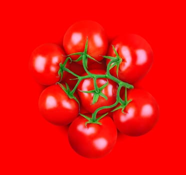 A bunch of tomatoes with green stem on red background. Square, top view