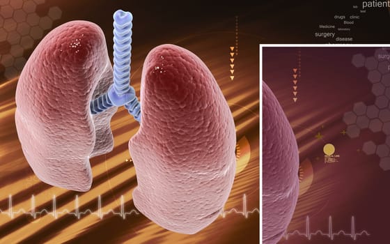 Digital illustration of human lungs in colour background