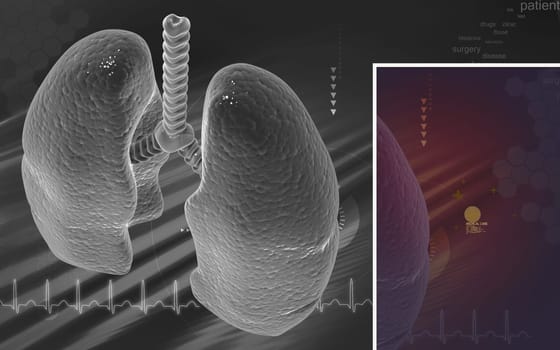 Digital illustration of human lungs in colour background