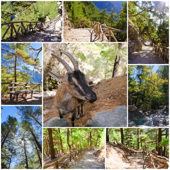 Photo collage of Samaria Gorge images in central Crete, Greece