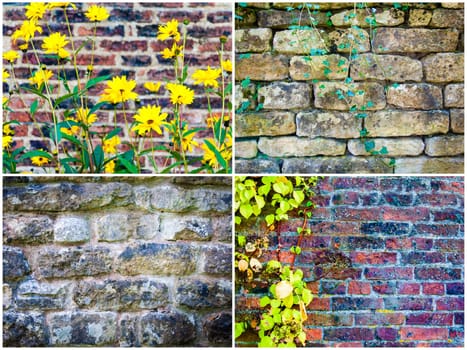 Photo collage of stone wall backgrounds with ivy leaves