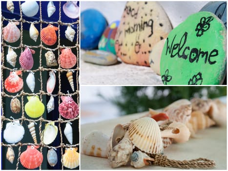 Photo collage of colorful shells background