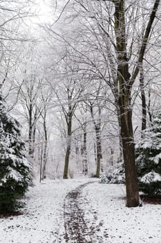 Snowy path in the Tiergarten Berlin