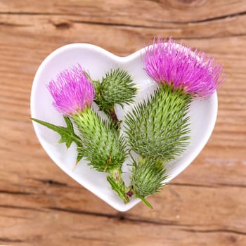 Homeopathy and cooking with medicinal herbs,thistle