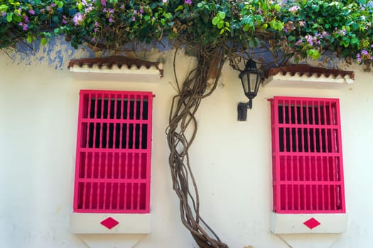 Colonial architecture in the historic center of Cartagena, Colombia featuring white walls and two pink windows