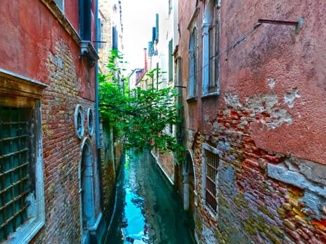 The classical picture of the venetian canal with green tree