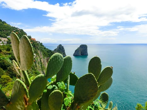 Capri island, Italy.Capri is an island in the Tyrrhenian Sea near Naples.